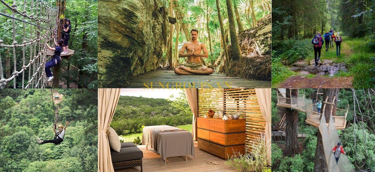 Khu hoạt động thể chất trong rừng nguyên sinh trên đảo Hòn Thơm.
